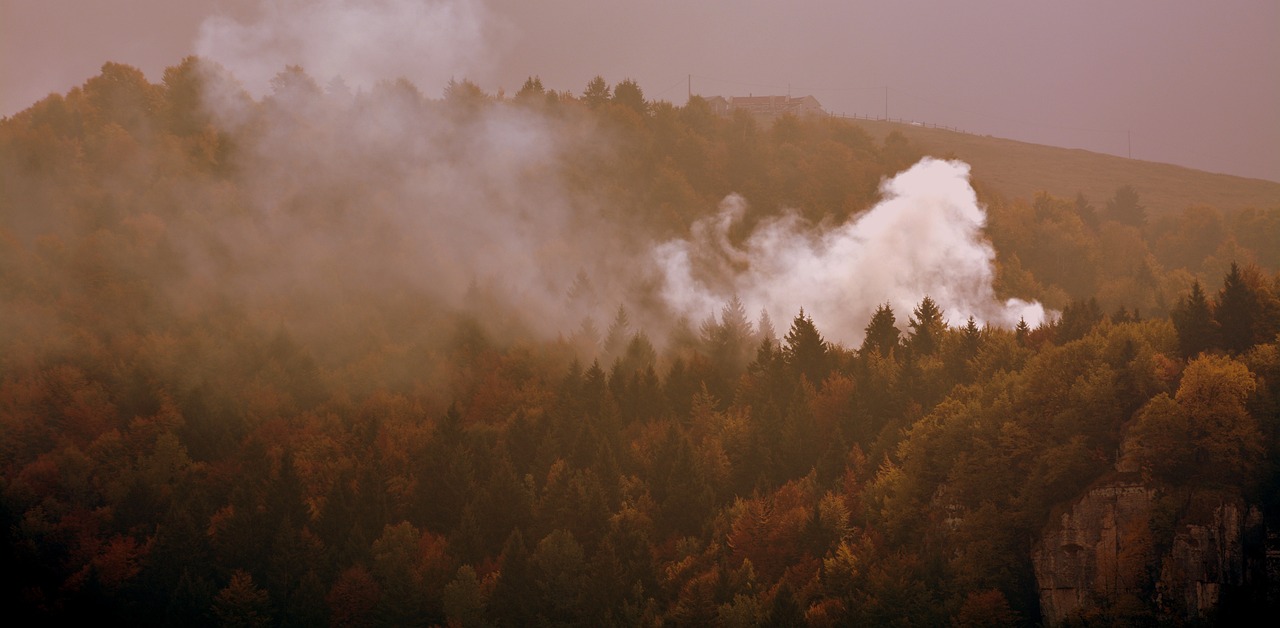 Incendi in Sardegna e Sicilia: dal 19 gennaio disponibile piattaforma per accedere al contributo per viaggiatori e operatori settore turistico-ricettivo