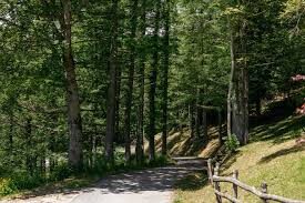 montagna