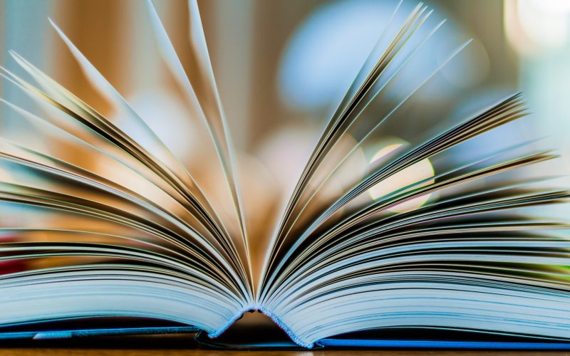 Industria del libro, la filiera ha incontrato il ministro Giuli: “Avanti con il sostegno alla domanda di lettura e nuove misure”